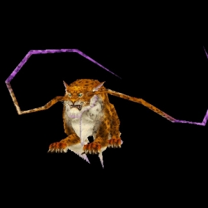 Marsupial Marsupial